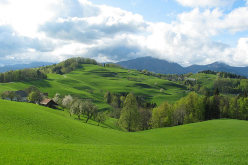 Turistična kmetija Ljubica okolica
